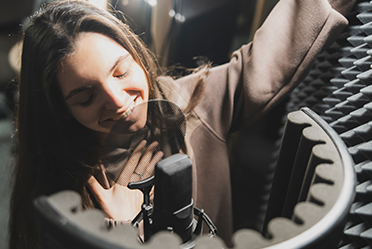 শব্দ নিরোধক স্পঞ্জ